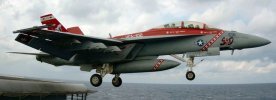 b8c05093a544d219dcbc8a49199fa725--us-navy-hornet.jpg