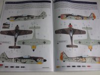 IMGP0007.jpg IMGP0007.jpg