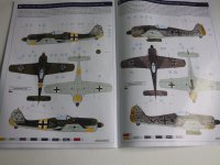 IMGP0009.jpg IMGP0009.jpg