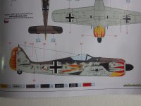 IMGP0010.jpg IMGP0010.jpg