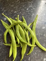 75085091247__5E8866E7-7983-4B5F-9D69-0AA26A8BA799.jpg 75085091247__5E8866E7-7983-4B5F-9D69-0AA26A8BA799.jpg