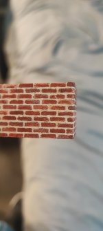 IMG_20260108_094746.jpg IMG_20260108_094746.jpg