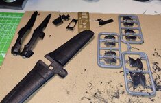 PZL polish lite bomb 4jan25 (1).jpg