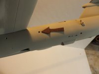 IMGP0005.jpg IMGP0005.jpg