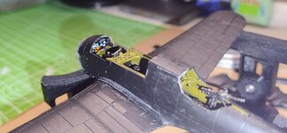 PZL Polish Lite Bomb 6jan25  (6).jpg