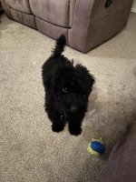 Click image for larger version  Name:	IMG_4001.jpg Views:	2 Size:	431.5 KB ID:	1254005