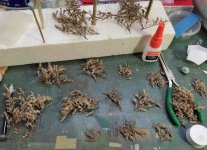 IMG_20250108_150052.jpg IMG_20250108_150052.jpg