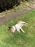 Click image for larger version  Name:	IMG_2866.jpg Views:	2 Size:	821.6 KB ID:	1254000