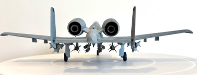 IMG_2873.jpg IMG_2873.jpg