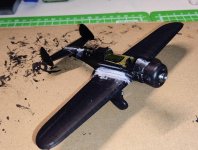 PZL Polish lite bomb 8jan25  (4).jpg