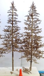 IMG_20250109_132744.jpg IMG_20250109_132744.jpg