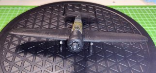 pzl 42 pol lite bomb 9jan25  (2).jpg