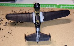 PZL Polish lite bomb 8jan25  (6).jpg