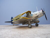 P1390495.jpg P1390495.jpg