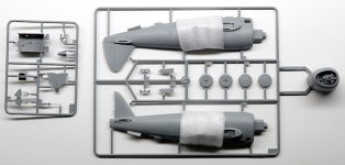 Steven_P47D_001.jpg Steven_P47D_001.jpg