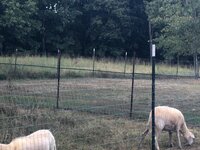 Click image for larger version  Name:	A994F80D-486A-4BFE-A79A-495612E11809.jpg Views:	5 Size:	740.0 KB ID:	1232775