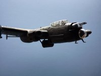 P1060579.jpg P1060579.jpg