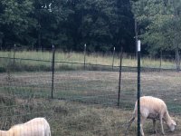 Click image for larger version  Name:	A994F80D-486A-4BFE-A79A-495612E11809.jpg Views:	5 Size:	740.0 KB ID:	1232775