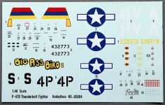 Steven_P47D_098.jpg Steven_P47D_098.jpg