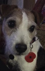 Click image for larger version  Name:	IMG_2409.jpg Views:	0 Size:	308.7 KB ID:	1268838