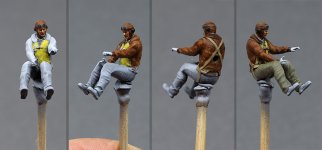 Steven_P47D_020.jpg Steven_P47D_020.jpg