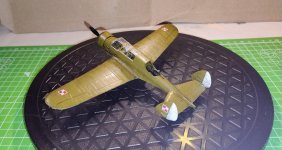 PZL 42 Pol Lite Bomb 15jan25  (3).jpg