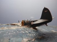 Click image for larger version  Name:	P1390511.jpg Views:	6 Size:	186.9 KB ID:	1254892