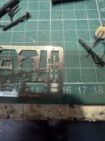 IMG_4917.jpg IMG_4917.jpg