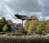 IMG_4813.jpg IMG_4813.jpg