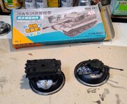 tiger tiny painted  (1).jpg