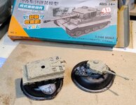 tiger tiny painted  (2).jpg