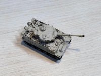 tiger tiny 1_144 finished (3).jpg tiger tiny 1_144 finished (3).jpg