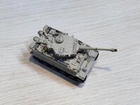 tiger tiny 1_144 finished  (3).jpg