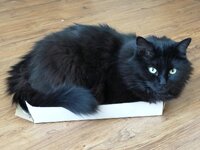 Click image for larger version  Name:	IMG_20190420_093005.jpg Views:	0 Size:	213.1 KB ID:	1238640