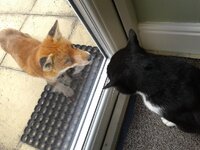 2012-10-13 13.21.12.jpg