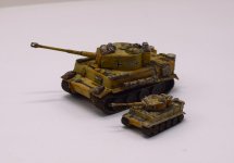 Tiger 1_144 ds3300 pics (14).jpg Tiger 1_144 ds3300 pics (14).jpg