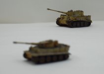 Tiger 1_144 (13).jpg Tiger 1_144 (13).jpg