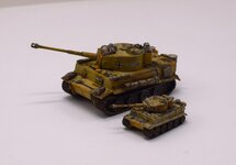 Tiger 1_144 ds3300 pics  (14).jpg