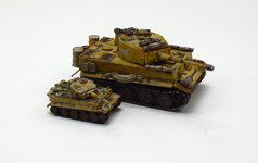 Tiger 1_144 ds3300 pics  (13).jpg