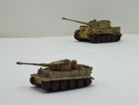 Tiger 1_144 (17).jpg