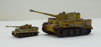 Tiger 1_144 (25).jpg