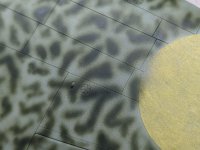 Click image for larger version  Name:	PXL_20241104_182032461~2.jpg Views:	0 Size:	361.9 KB ID:	1239161