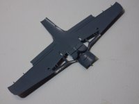 IMGP0003.jpg IMGP0003.jpg