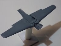 IMGP0008.jpg IMGP0008.jpg