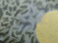 Click image for larger version  Name:	PXL_20241104_181820931~2.jpg Views:	0 Size:	420.4 KB ID:	1239160