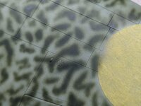 Click image for larger version  Name:	PXL_20241104_182032461~2.jpg Views:	0 Size:	361.9 KB ID:	1239161