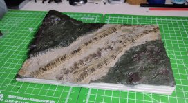 Dio germhaftrak 28jan25 later (1).jpg