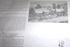 100_4500.jpg 100_4500.jpg