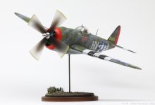 Steven_P47D_134.jpg Steven_P47D_134.jpg