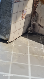 Click image for larger version  Name:	image.png Views:	0 Size:	1.74 MB ID:	1235908